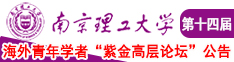 小说污污污流水抽插黄南京理工大学第十四届海外青年学者紫金论坛诚邀海内外英才！